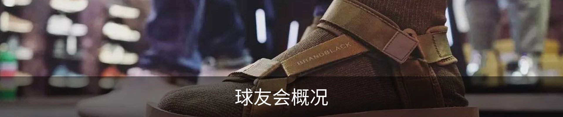 球友会概况